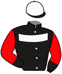 Casaque n°9