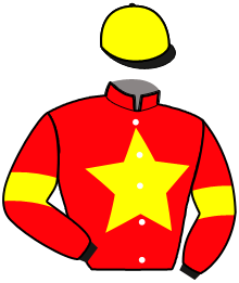 Casaque n°3