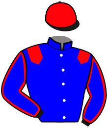 Casaque n°7