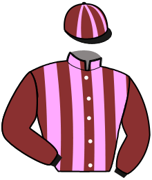Casaque n°3