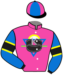 Casaque n°2