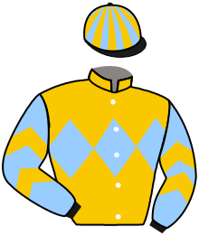 Casaque n°7