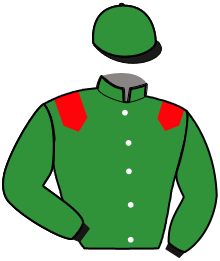 Casaque n°2