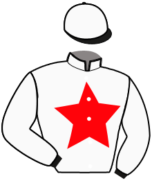 Casaque n°8