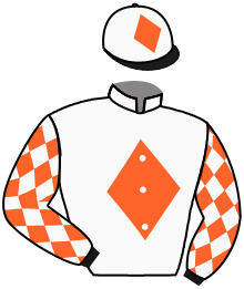 Casaque n°2