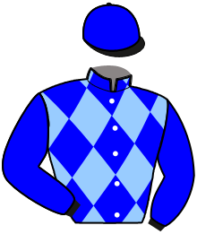 Casaque n°2
