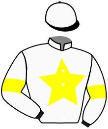 Casaque n°2
