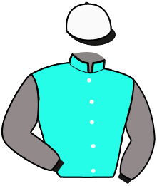 Casaque n°8