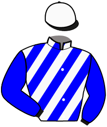 Casaque n°12