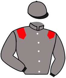 Casaque n°10