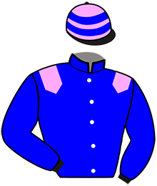 Casaque n°2