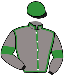 Casaque n°10