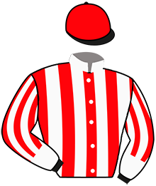 Casaque n°3