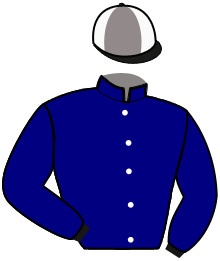 Casaque n°11