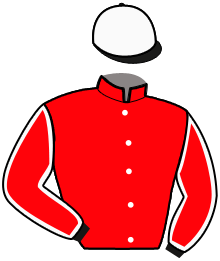 Casaque n°4