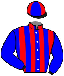 Casaque n°5