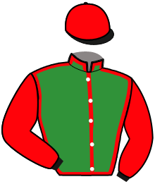 Casaque n°13