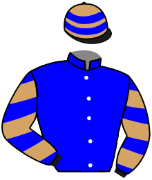 Casaque n°11