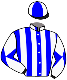 Casaque n°15