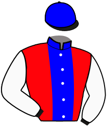 Casaque n°5