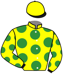 Casaque n°4