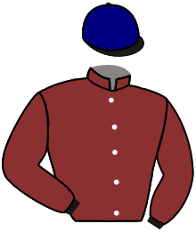 Casaque n°2