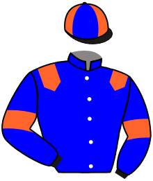 Casaque n°6