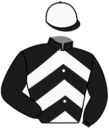 Casaque n°11