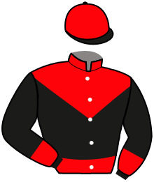 Casaque n°8
