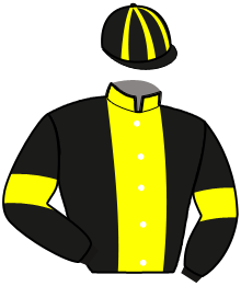 Casaque n°2