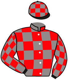 Casaque n°3