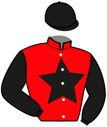 Casaque n°15