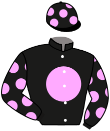 Casaque n°6