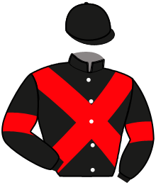 Casaque n°15