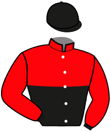 Casaque n°6