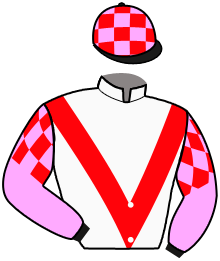 Casaque n°5
