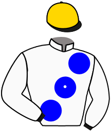 Casaque n°1