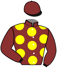 Casaque n°10