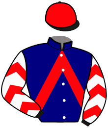 Casaque n°15