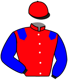 Casaque n°1