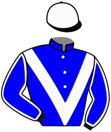 Casaque n°11