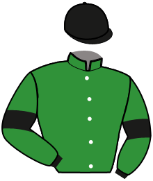Casaque n°11