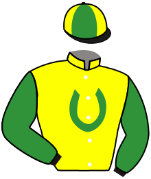 Casaque n°2