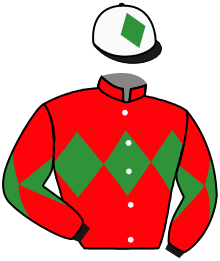 Casaque n°11