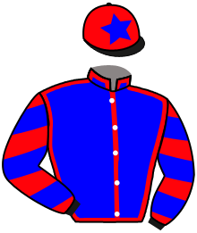 Casaque n°15