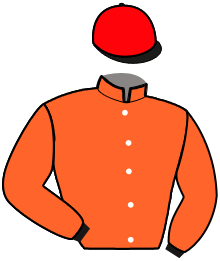 Casaque n°11