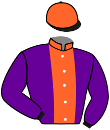 Casaque n°2