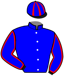 Casaque n°16
