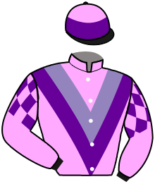 Casaque n°4