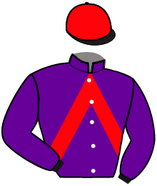 Casaque n°15